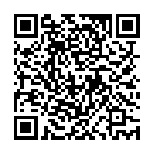 被吞之前她的灵魂信息还包括对代离那一缕灰气的感应二维码生成