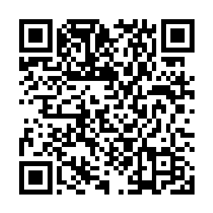 被幸存下来寥寥无几的机械和蒸汽教核心信徒们簇拥着二维码生成