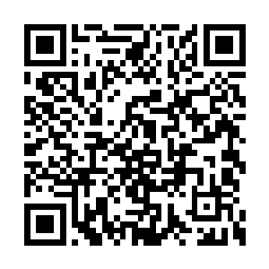 被我的客人看到我和一群叫花子住在一间酒店里二维码生成