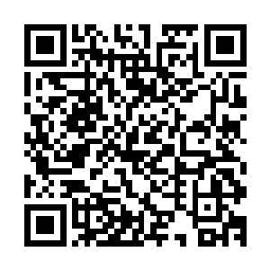 被抛弃的作为女神降临容器的左娜此时脸色惨白地陷入了昏迷二维码生成