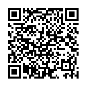 被李涛他们利用各种地形和预先埋设的诡雷炸得哭爹喊娘二维码生成