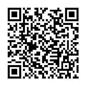 被罗楼一脚踢到了后方就随着那群士兵远程打天使二维码生成