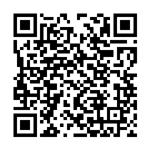 被这群兄弟拥在中间座位上的是一个穿着弹力背心二维码生成