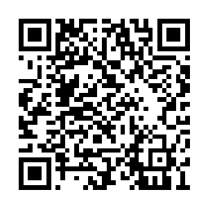 被那首先冲出来的持棒汉子追上去打得脑浆迸裂二维码生成