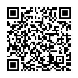 被w1粉丝称为萌兔的韩国外援中单ninja的照片也是出现在了上面二维码生成
