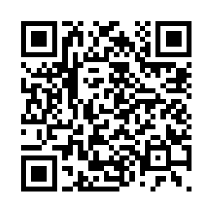 裂风狼王的体型比之前略微高了一些二维码生成