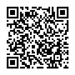 裂风狼王身上的这种赤红色的邪异火焰极其不正常二维码生成