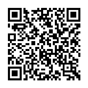 裙下一双绣迎春花的可爱绣鞋露出大半都没察觉二维码生成