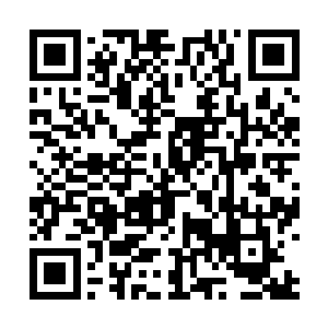 西柯尼之间玩了一场sm游戏的传闻一直在圈内流传二维码生成