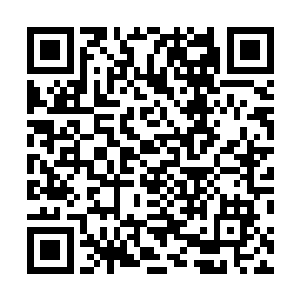 西浅是队伍里年龄最小性格最孤僻人缘关系也最差的一个二维码生成