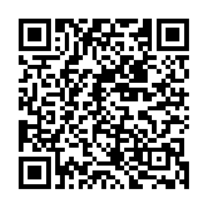 西海龙宫已经将绝大部分的强者都调到了海面上参加战斗二维码生成