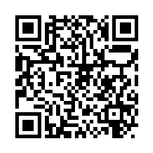 要不就是那所谓拥有着大气运的天命之子二维码生成