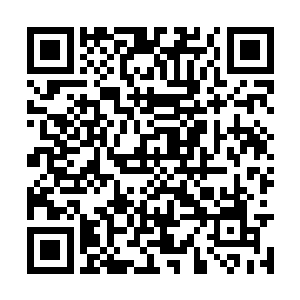 要不然也不会这么费劲力气的为自己找这些东西了二维码生成