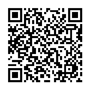 要在全市的教育系统里开展一次精神文明整治行动二维码生成