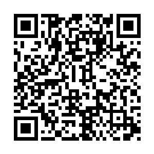 要将一个才丧夫丧女的可怜妇人嫁给另一个鳏夫二维码生成