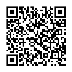 要想让仙王强者身躯伤势无法复原只有一种可能那就是二维码生成