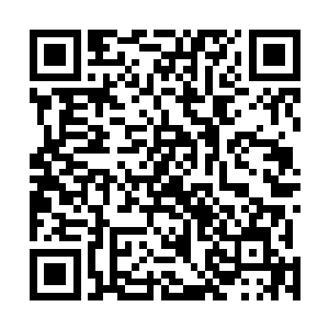 要把海象岛建成一个和他在太古的家几乎一模一样的地方二维码生成