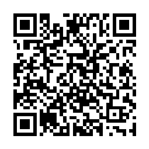 要是你连天劫都渡不过的话那么只有魂飞魄散的下场二维码生成