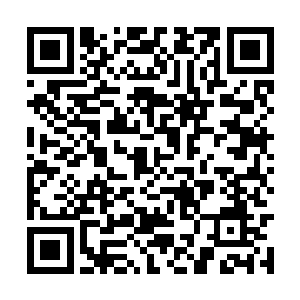 要是唐晓柔知道你自己都不努力想着怎么回到学校二维码生成