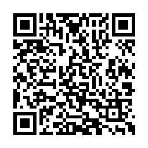 要是拿出来的话恐怕龙傲天的存货就所剩不多了二维码生成