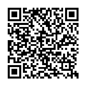 要是早出来一点她是姐姐的话哪里轮到对方管啊二维码生成