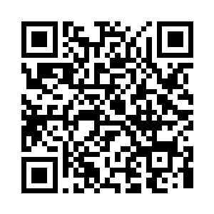 要是真的就这么不明不白被喂了鲨鱼二维码生成