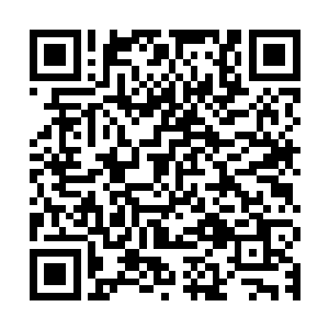 要是秦宇得到了君王殿的传承仓泽根本不敢在这时候对人族出手二维码生成