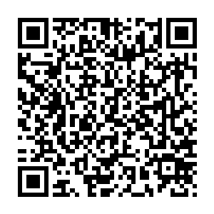 要是让六道下面的人知道高层在和仇人保持联系会是个什么样的结果二维码生成