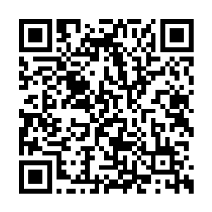 要是说正面的战斗或许龙傲天还不怎么顾及他们二维码生成