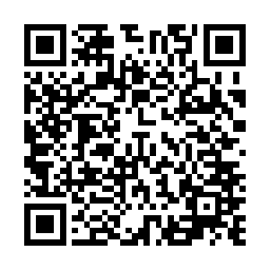 要是这样的话那她和范晨还可以赶着去参加王处长的宴席二维码生成