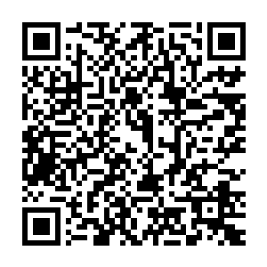 要是这里面所有的人都修真的话恐怕就算是一流大派也没有这么多人二维码生成