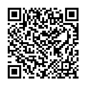 要查询自己的贡献点数也有另一种骨器可以显示二维码生成