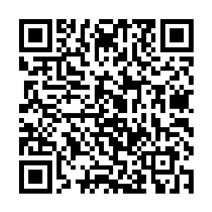 要比他们去别的地方交便宜百分之二十到三十的样子二维码生成