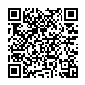 要真是我打的我也就不会在看见卓景时那么理亏了二维码生成
