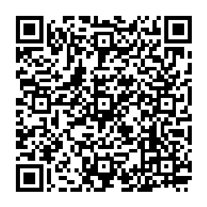 要知道之前的时候龙傲天展现出来的恐怖的实力已经彻底的征服了他们・丹祖级别的炼丹师二维码生成
