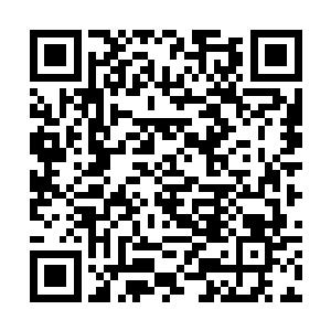 要知道他们的本体可还是没有到达圣级九层后期巅峰二维码生成