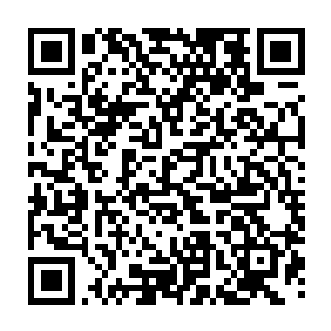 要知道在这格森王国中不知道有多少名门望族的千金想要嫁给我们大少爷二维码生成