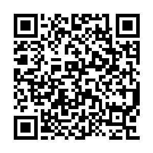 要知道她可是跟随巫医学过了一点点简单医术的二维码生成