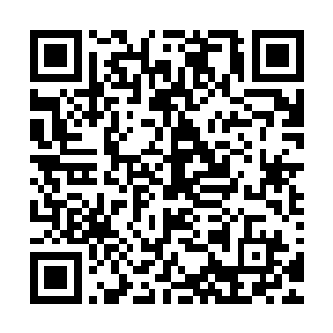 要知道就算是借一百个胆子给他们他们也绝对不敢在这里动手二维码生成