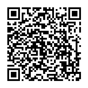 要知道许多大圣域参赛人员在第三场战斗的时候基本上都是对战大圣域中期二维码生成