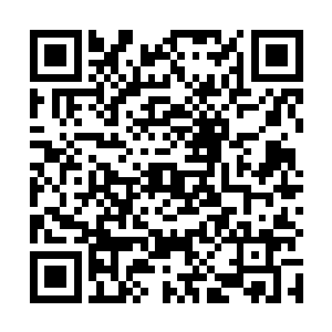 要知道这五尊分身可是跟龙傲天的本尊没有丝毫的区别二维码生成