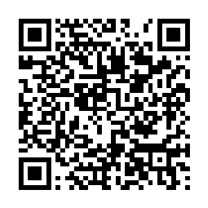 要知道这次龙傲天虽然说也想要见识一下破仙遗迹二维码生成