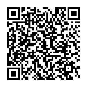 要知道那些高阶的功法神机宗只有真传弟子和一些长老才能够修炼二维码生成