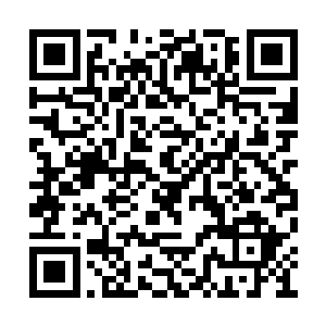 要让这么一朵带刺的玫瑰化身缠缠绵绵的蒲公英二维码生成