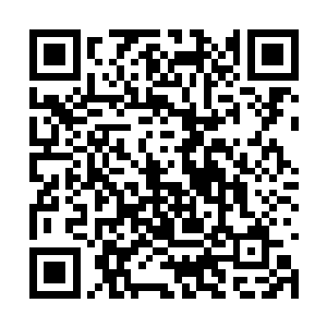 要说青鸾尊者会见这些外围贵族的速度还是很快的二维码生成