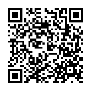 要跟随裴元灏前往亲耕之礼的仪仗队都已经要出发了二维码生成