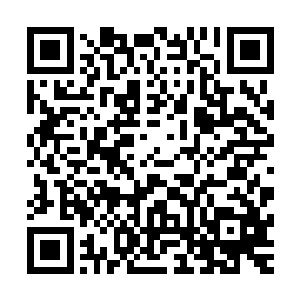 见东府二少爷的乳母一声不吭的就跑了就知道对方的身份很高二维码生成