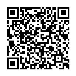 见到王司令员的第一面好像你就成了他手下的兵二维码生成