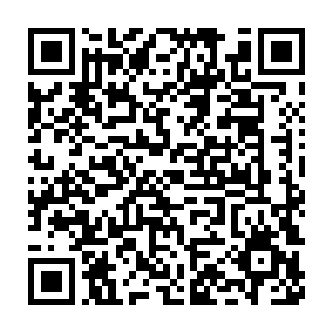 见到这个情况之后龙傲天发现这生命之树竟然还有天然的聚灵的作用二维码生成