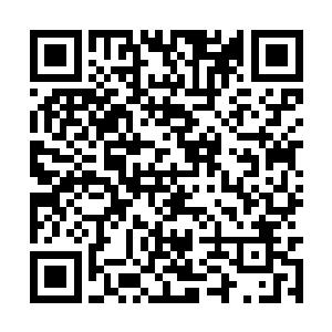 见到龙傲天头顶盘旋的恐怖的黑色的杀戮之龙之后二维码生成